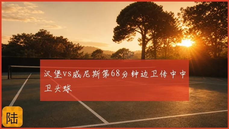 汉堡vs威尼斯第68分钟边卫传中中卫头球