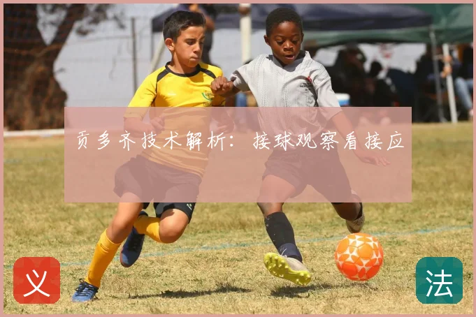 贡多齐技术解析:接球观察看接应